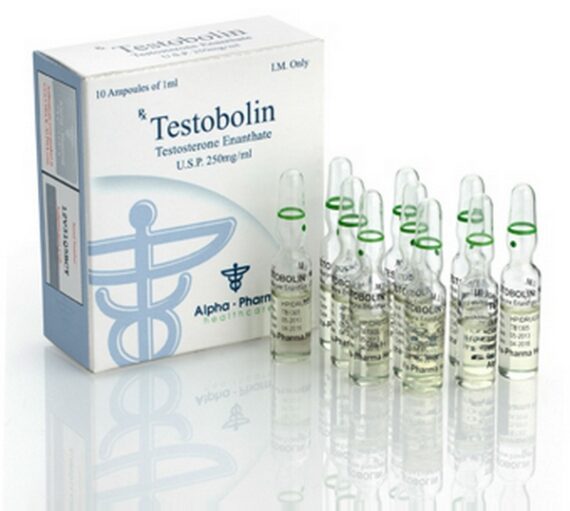 TESTOBOLIN AMP